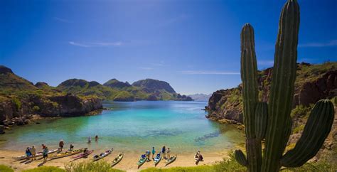 lootedoibay|LORETO BAY NATIONAL Marine Park .